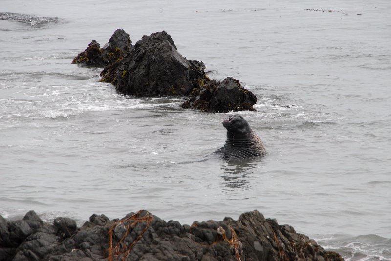 2011-07-23_Santa Barbara_Tag28_183.jpg